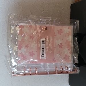 100 envelope savings challenge